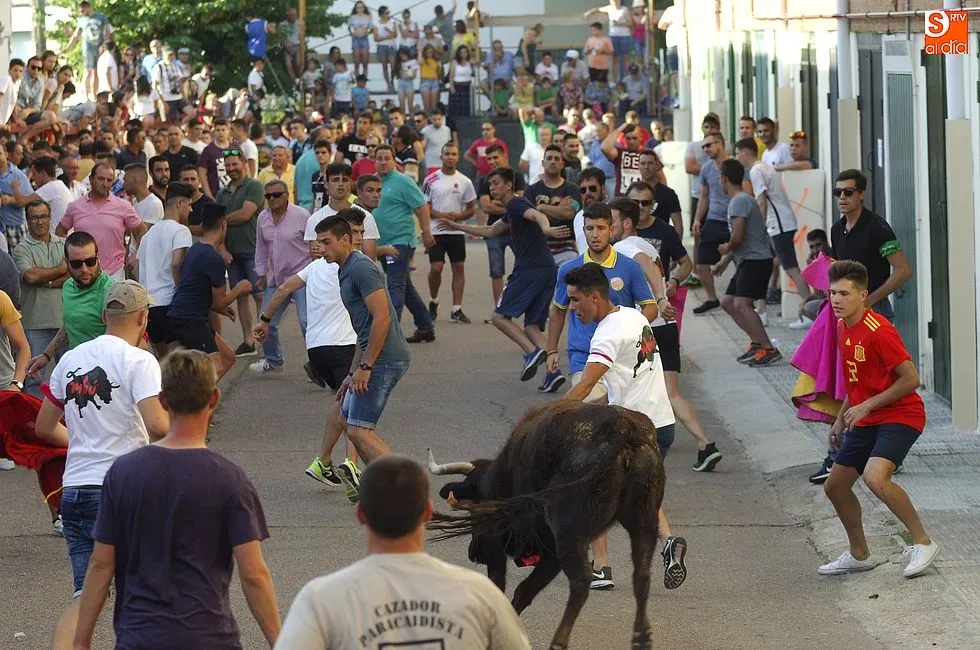 Foto 2 - El Barrio Nuevo hace historia con su multitudinario encierro veraniego  