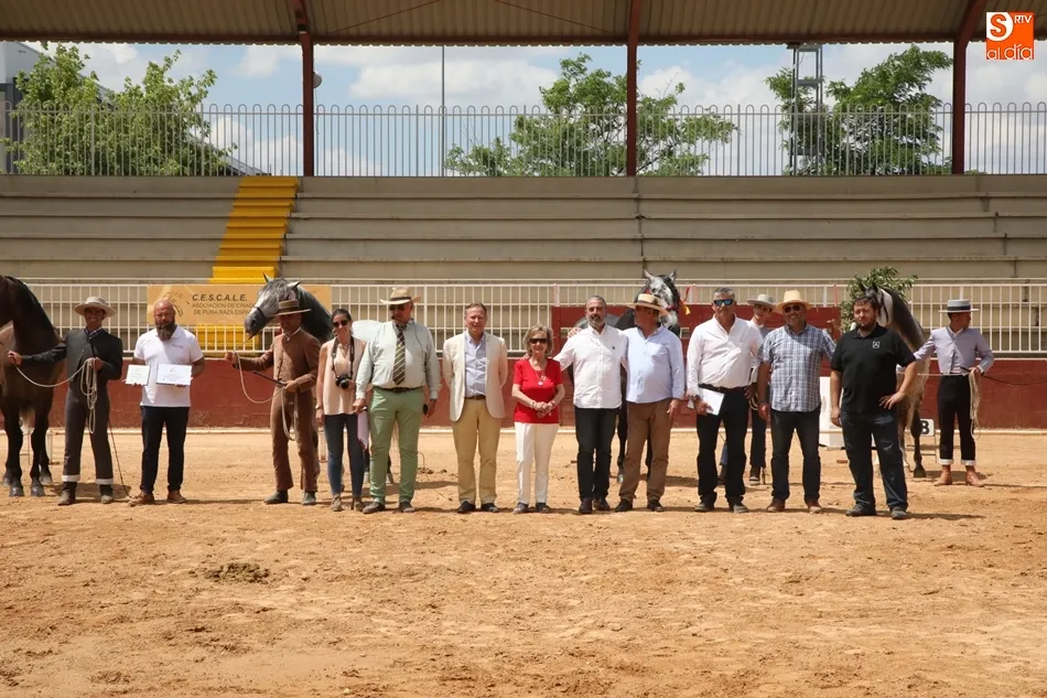 Entrega de premios del Concurso de Caballos de pura raza española, en el recinto ferial.