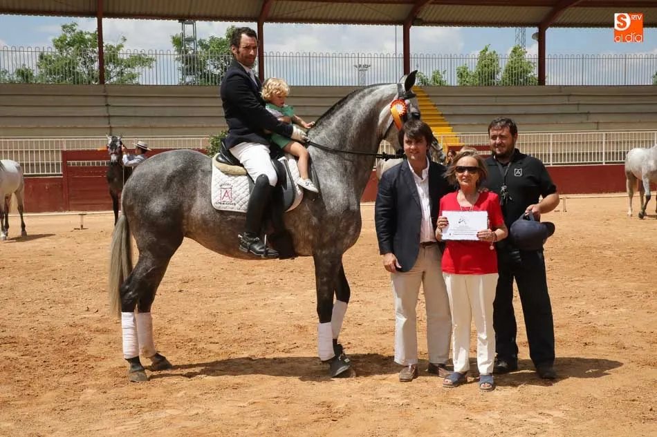Foto 5 - La entrega de premios clausura el Concurso de Caballos de Pura Raza Espa&ntilde;ola  