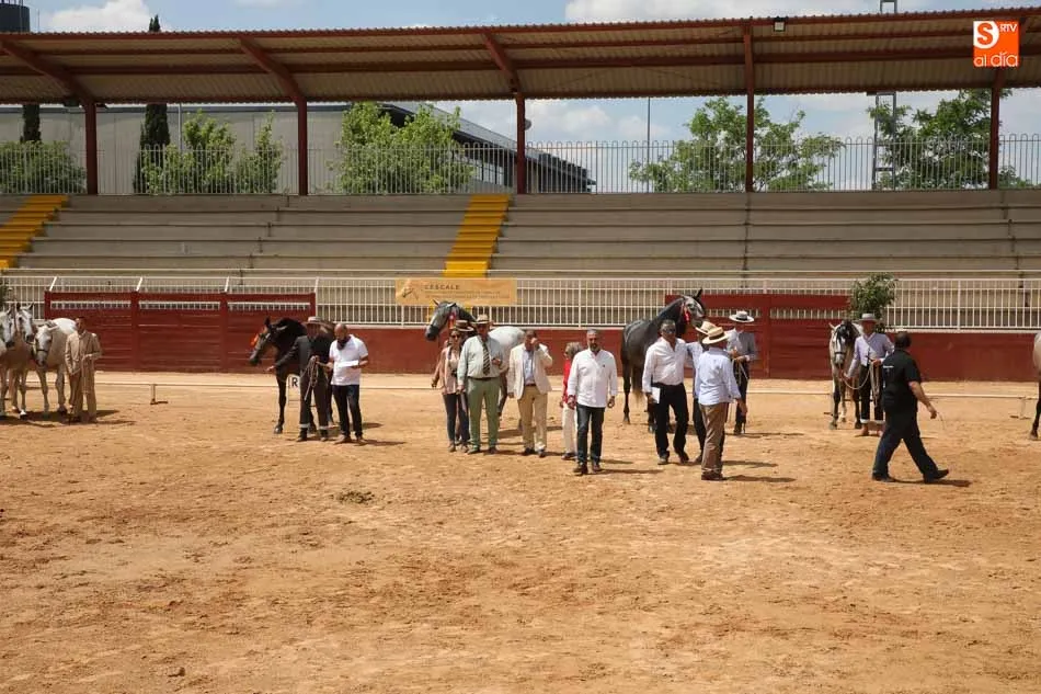 Foto 4 - La entrega de premios clausura el Concurso de Caballos de Pura Raza Espa&ntilde;ola  