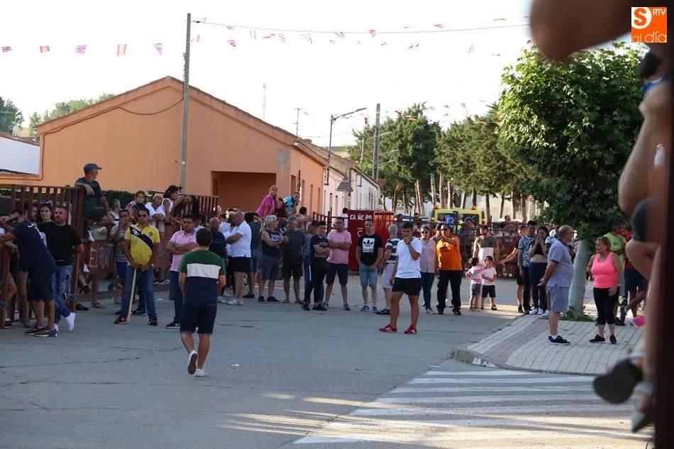 Foto 11 - Villoruela vive su segundo y &uacute;ltimo encierro de las fiestas