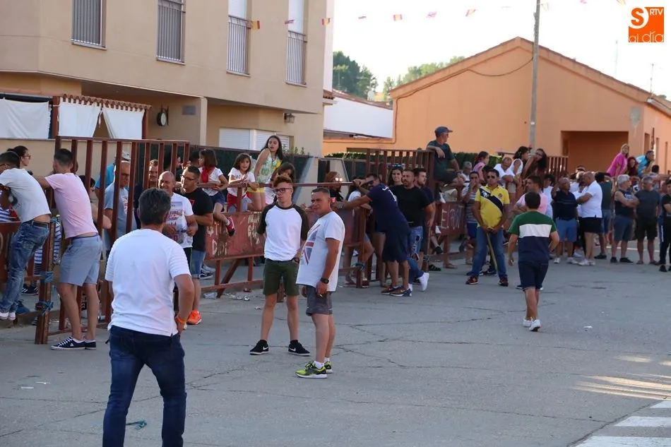 Foto 9 - Villoruela vive su segundo y &uacute;ltimo encierro de las fiestas