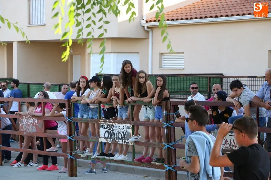 Foto 8 - Villoruela vive su segundo y &uacute;ltimo encierro de las fiestas
