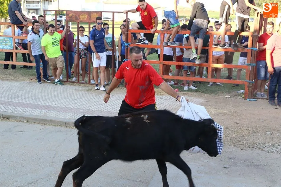 Foto 6 - Villoruela vive su segundo y &uacute;ltimo encierro de las fiestas