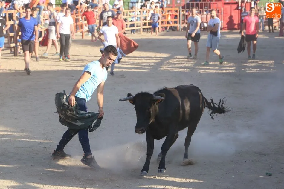 Aficionados de toda la comarca se han dado cita en la localidad