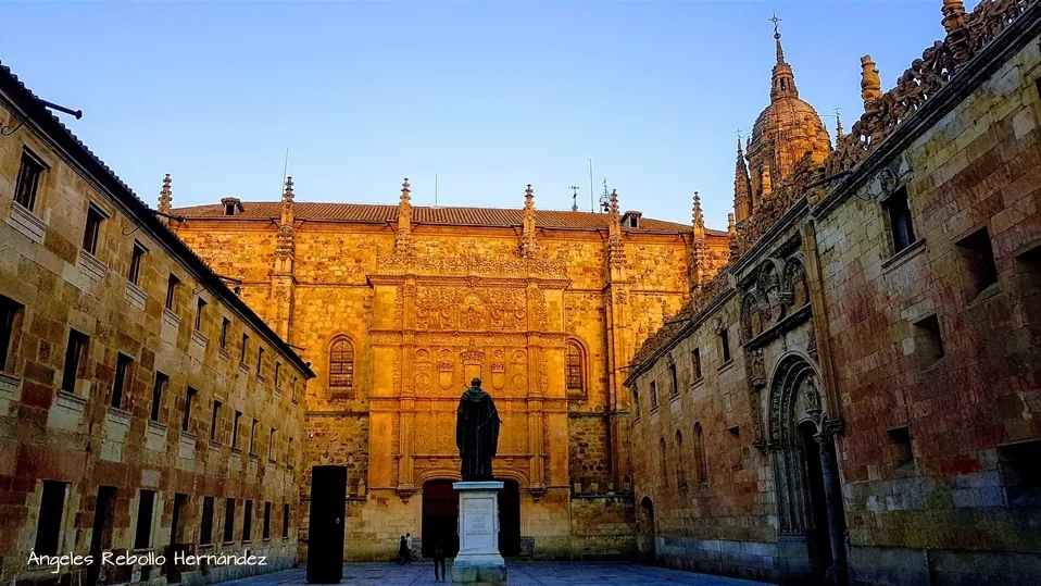 El oro de la sabiduría