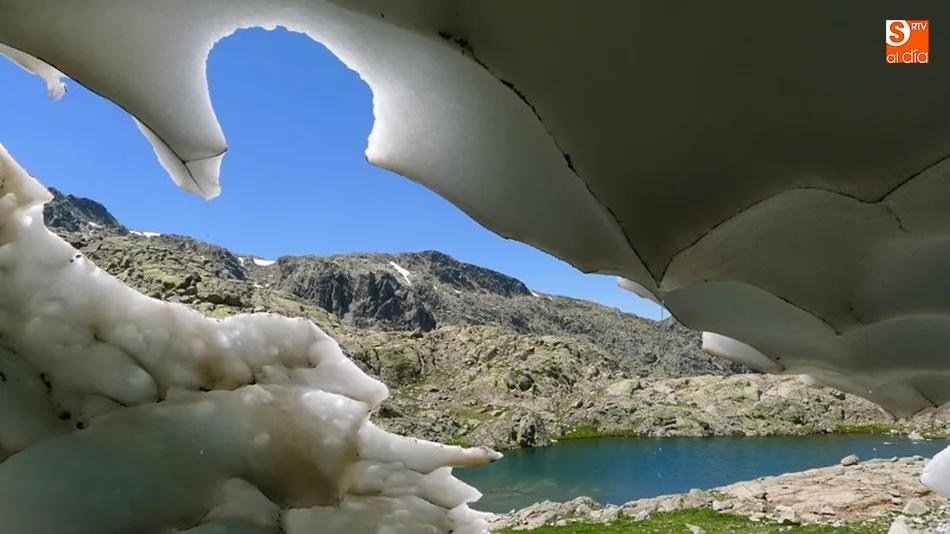 Foto 5 - Salvelinos en las cumbres de Gredos  