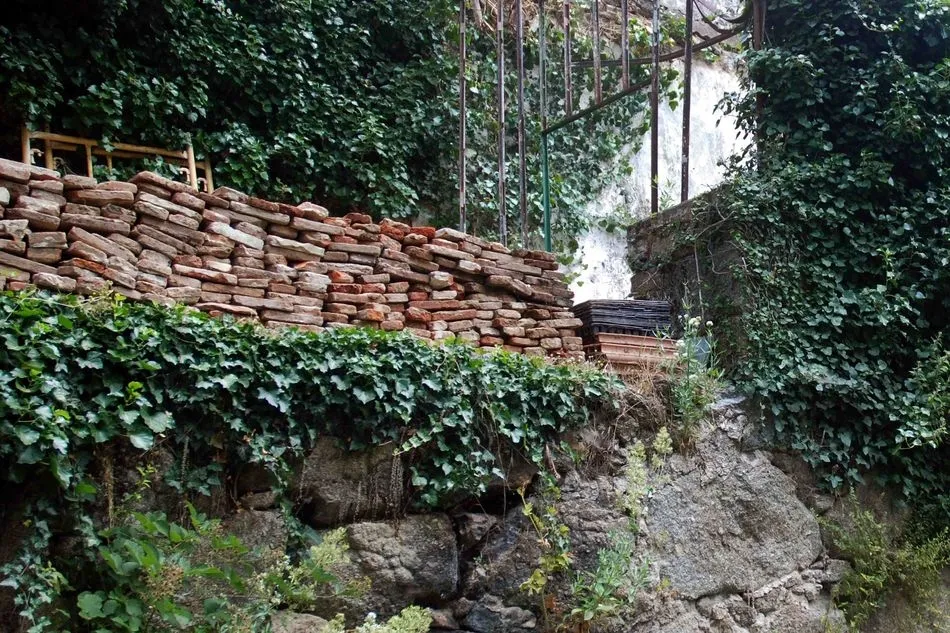 Foto 3 - La PDB cuestiona la decisi&oacute;n del cierre y la apertura de El Bosque  