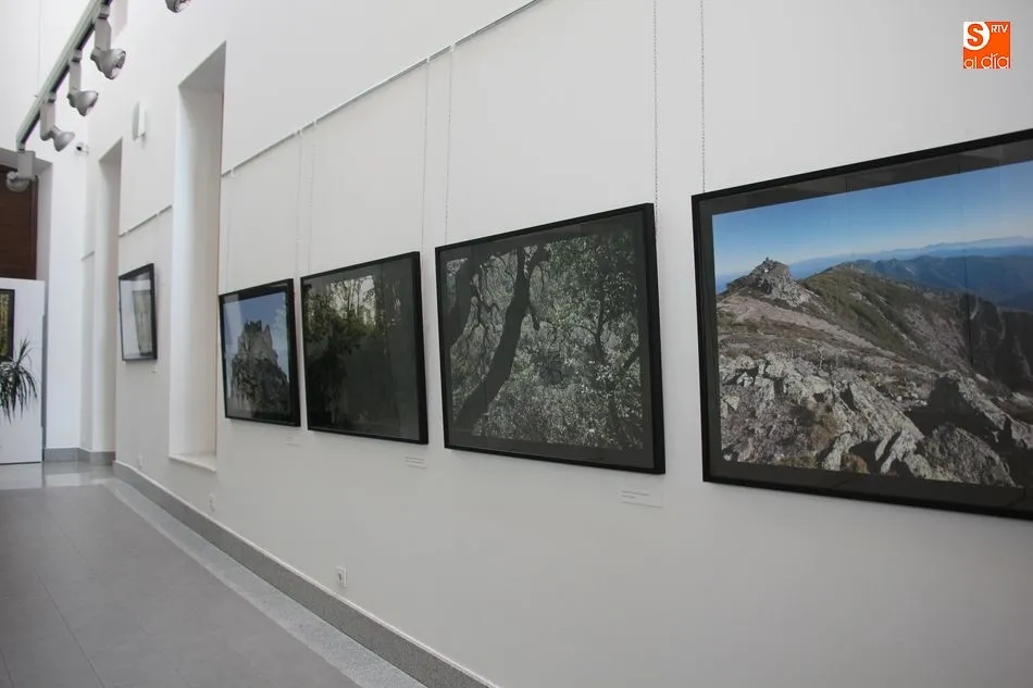 Foto 9 - La exposici&oacute;n &lsquo;B&eacute;jar y Francia: Oleaje de Sierras&rsquo; abre las actividades de &lsquo;Noches de...