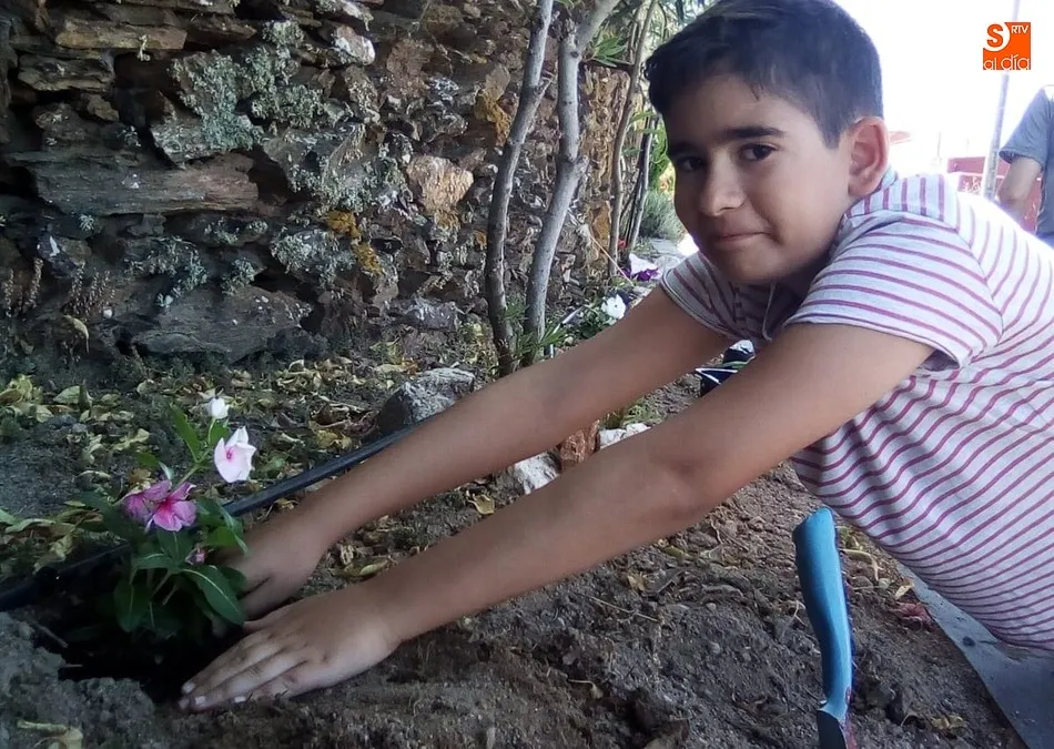 Foto 9 - Peque&ntilde;os y mayores disfrutan en Saucelle del verano con un intenso programa de actividades  