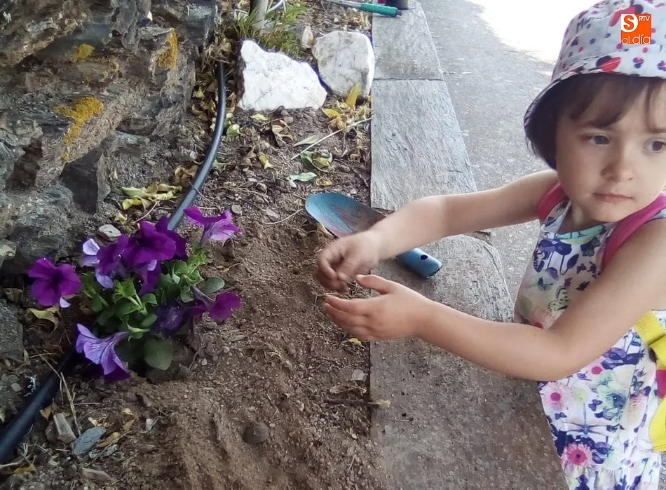 Foto 6 - Peque&ntilde;os y mayores disfrutan en Saucelle del verano con un intenso programa de actividades  
