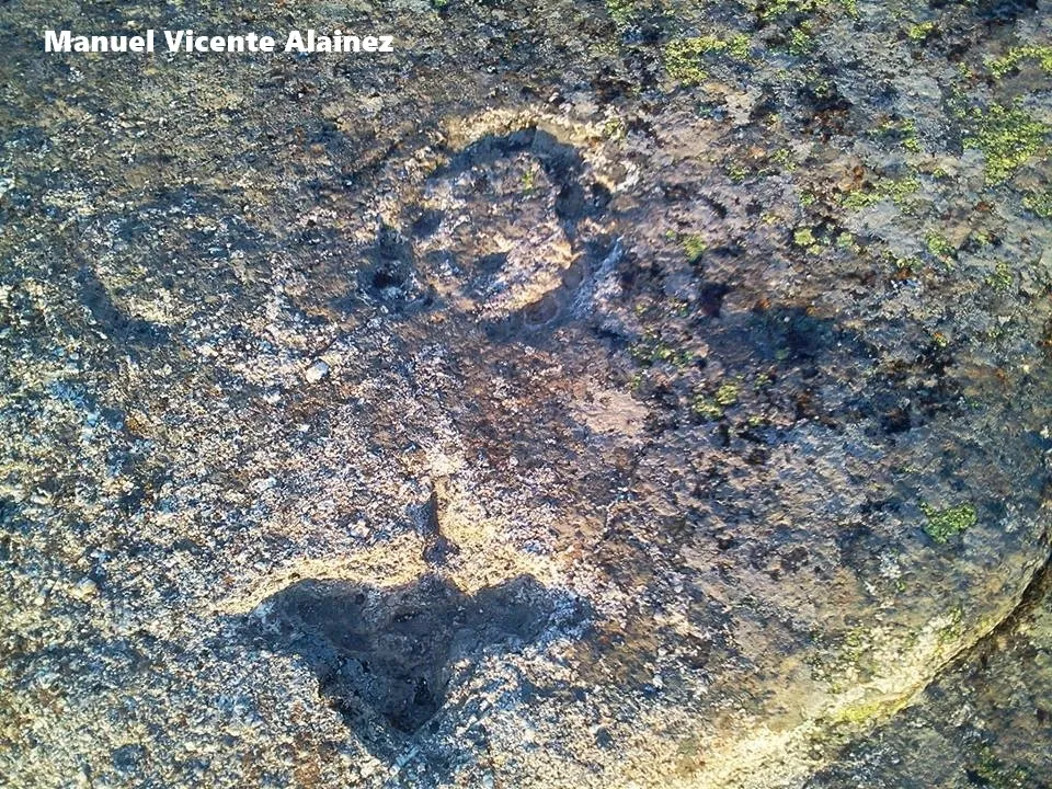 Foto 2 - Curiosidades de Ledesma
