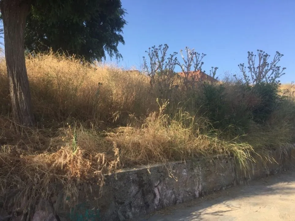 Foto 4 - Riesgo de provocar incendios en el Cornezuelo