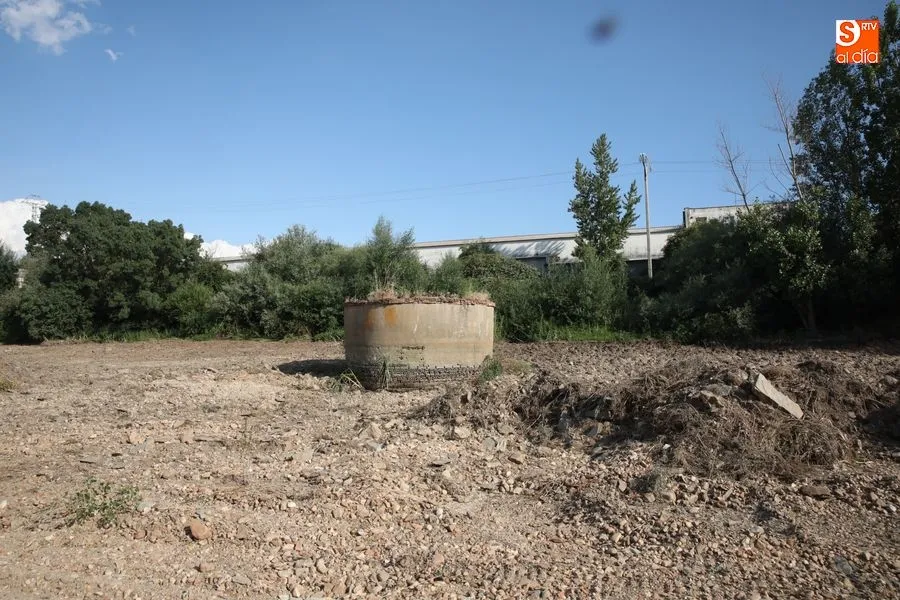 Foto 8 - Los vecinos de Tejares reclaman una limpieza integral de las orillas y el entorno del r&iacute;o&nbsp;