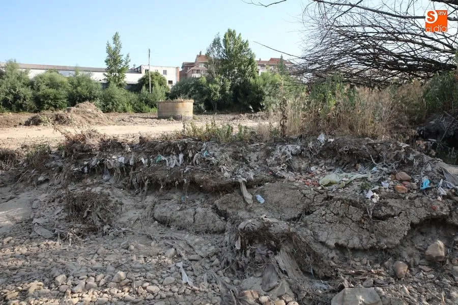 Foto 5 - Los vecinos de Tejares reclaman una limpieza integral de las orillas y el entorno del r&iacute;o&nbsp;