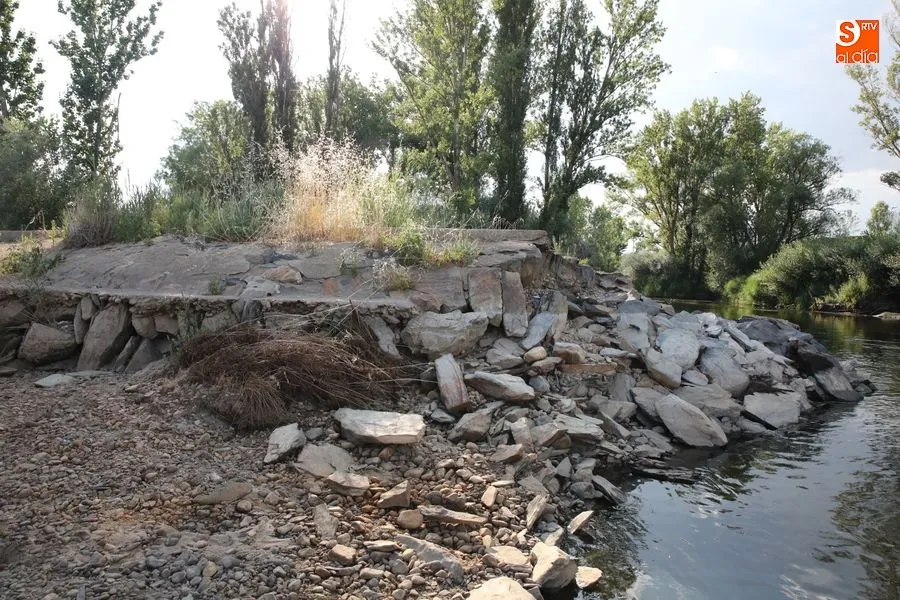 Foto 4 - Los vecinos de Tejares reclaman una limpieza integral de las orillas y el entorno del r&iacute;o&nbsp;