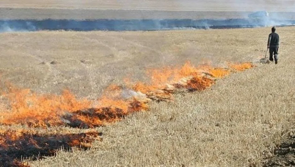 La prohibición de quemar rastrojos generará problemas a los agricultores, según la Alianza