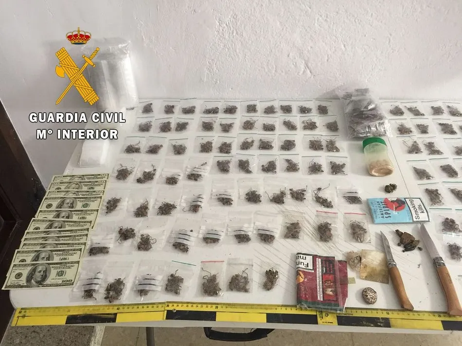 Foto 2 - El festival jipi concluye con 150 denuncias por posesi&oacute;n de drogas y tres detenidos