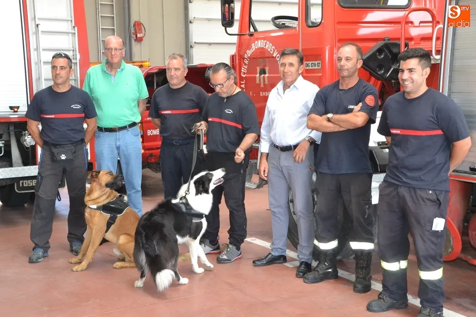 Los Bomberos incorporan dos perros para la búsqueda de personas desaparecidas en grandes áreas  