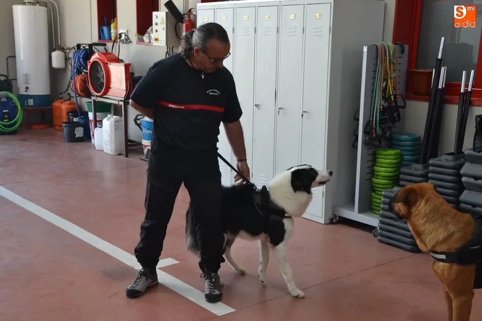 Foto 11 - Los Bomberos incorporan dos perros para la b&uacute;squeda de personas desaparecidas en grandes &aacute;reas  