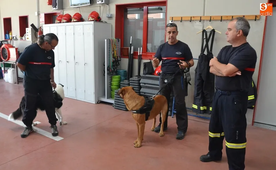 Foto 10 - Los Bomberos incorporan dos perros para la b&uacute;squeda de personas desaparecidas en grandes &aacute;reas  