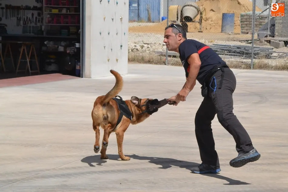 Foto 8 - Los Bomberos incorporan dos perros para la b&uacute;squeda de personas desaparecidas en grandes &aacute;reas  
