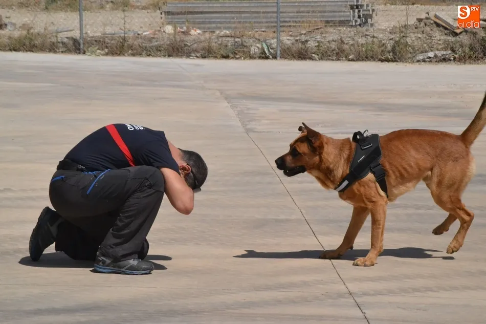 Foto 5 - Los Bomberos incorporan dos perros para la b&uacute;squeda de personas desaparecidas en grandes &aacute;reas  