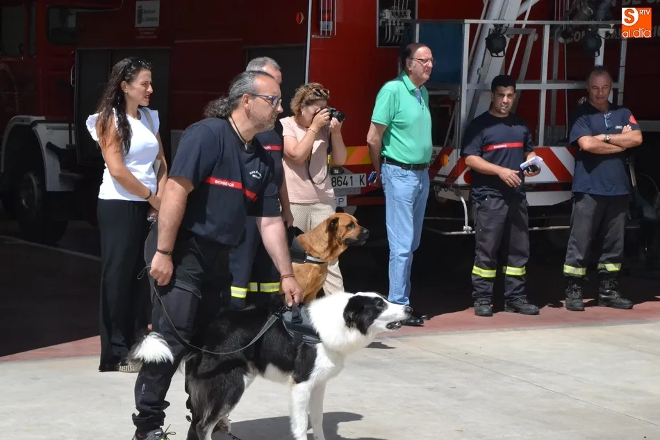 Foto 7 - Los Bomberos incorporan dos perros para la b&uacute;squeda de personas desaparecidas en grandes &aacute;reas  