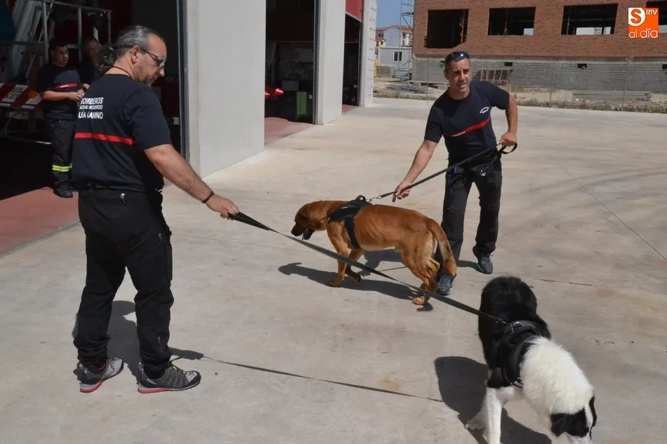 Foto 3 - Los Bomberos incorporan dos perros para la b&uacute;squeda de personas desaparecidas en grandes &aacute;reas  