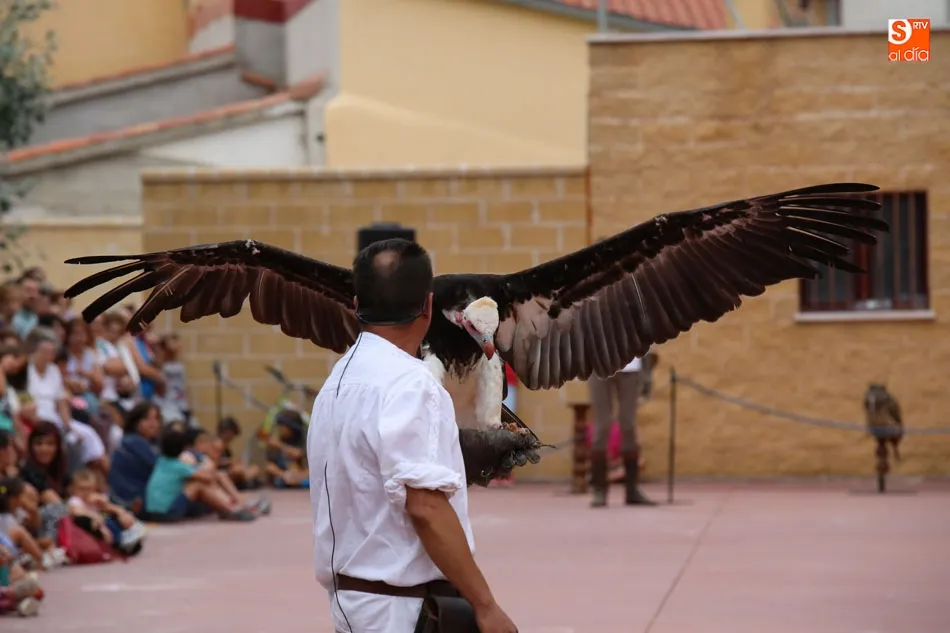 Foto 5 - El desfile de trajes de &eacute;poca da lustre al aniversario de la batalla de Arapiles