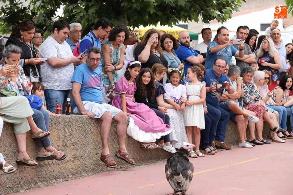 Foto 4 - El desfile de trajes de &eacute;poca da lustre al aniversario de la batalla de Arapiles