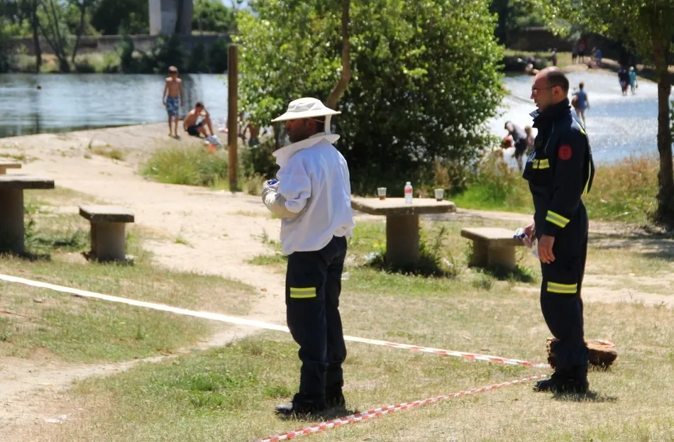 Fotos de la actuación de la mañana del domingo remitidas por un lector, Luis