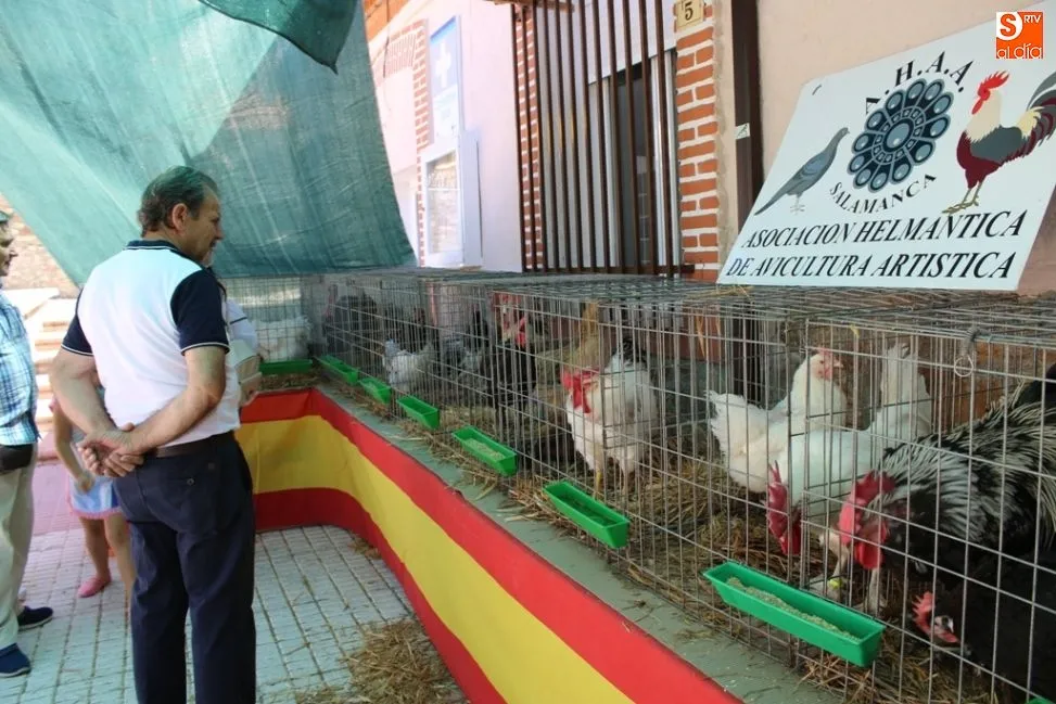 Foto 6 - Sesenta expositores consolidan con &eacute;xito la III Feria Agroalimentaria de Galinduste