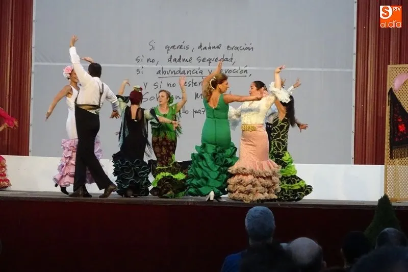 Foto 5 - El grupo de sevillanas de Alba de Tormes ameniza la noche albense