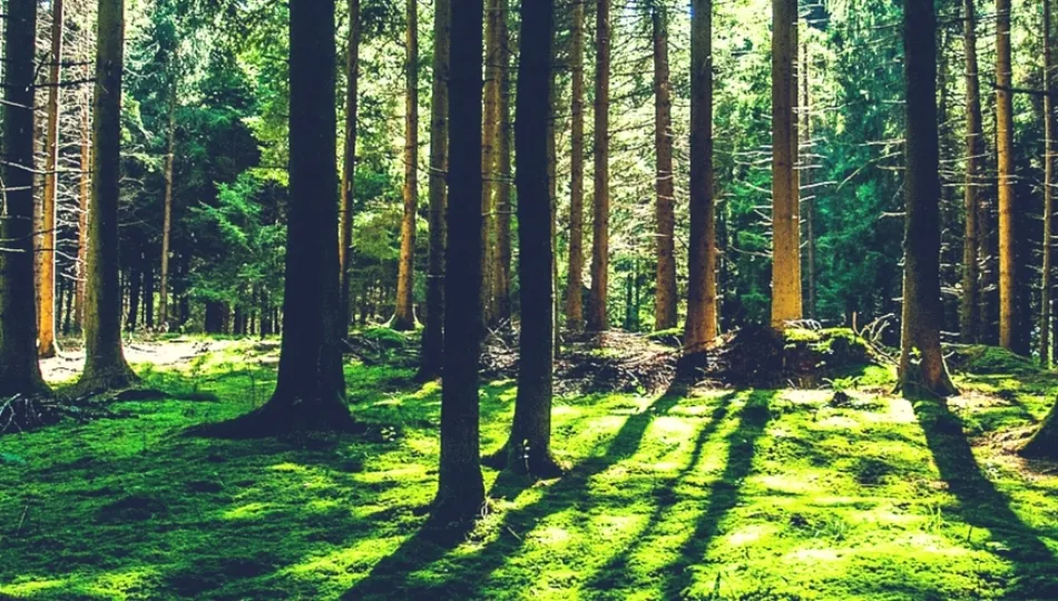 El próximo jueves Cáritas Salamanca reivindicará el Cuidado del Planeta