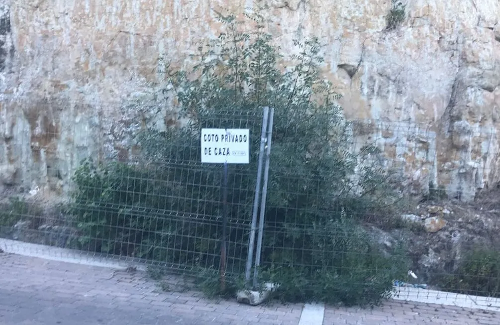 1Foto: Una sutil forma de quejarse por la maleza  