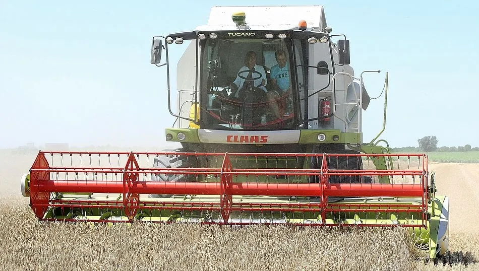 La consejera Milagros Marcos, al volante de una cosechadora en la localidad vallisoletana de Piñel de Abajo