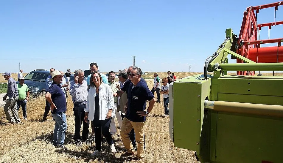 Foto 3 - La cosecha de cereales en Salamanca, con 486.000 toneladas, triplica la producci&oacute;n del pasado a&ntilde;o