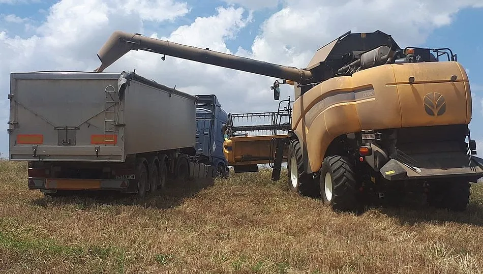 Cosechando una parcela de cereal. Foto: Asaja CyL