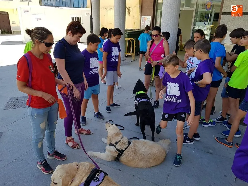 El Verano Joven se acerca al mundo del adiestramiento canino