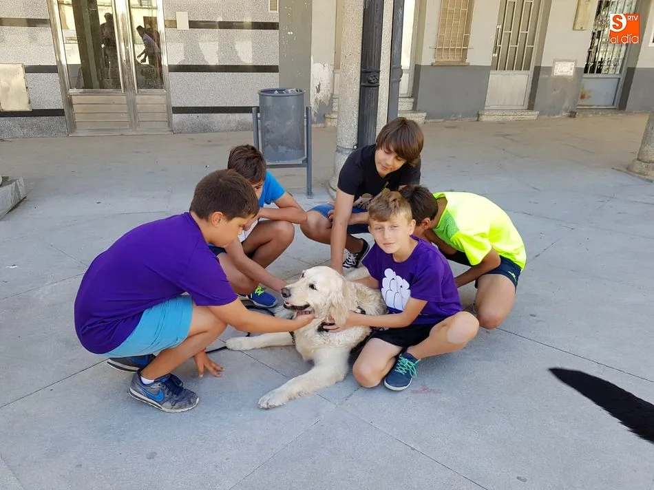 Foto 3 - El Verano Joven se acerca al mundo del adiestramiento canino