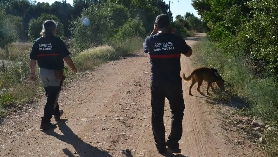 Los Bomberos se hacen acompañar por perros en las búsqueda