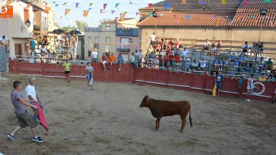 Foto 3 - Animada tarde taurina el d&iacute;a grande de las fiestas patronales de Sobradillo
