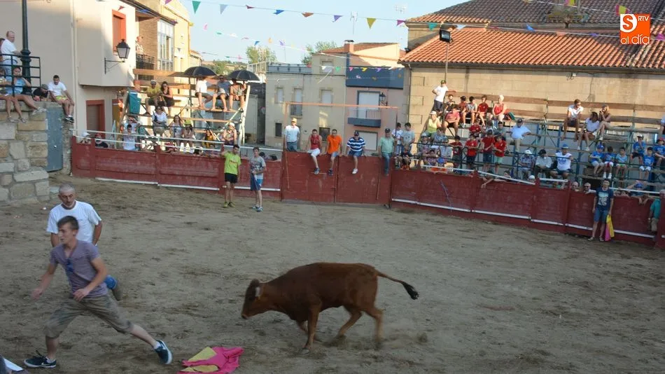 Foto 2 - Animada tarde taurina el d&iacute;a grande de las fiestas patronales de Sobradillo