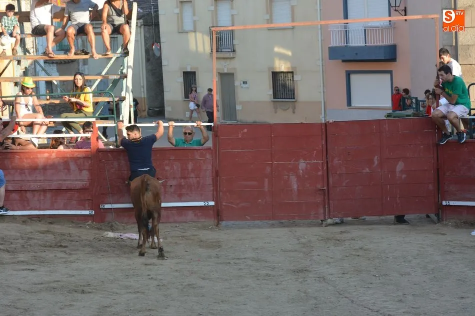 Foto 8 - Animada tarde taurina el d&iacute;a grande de las fiestas patronales de Sobradillo