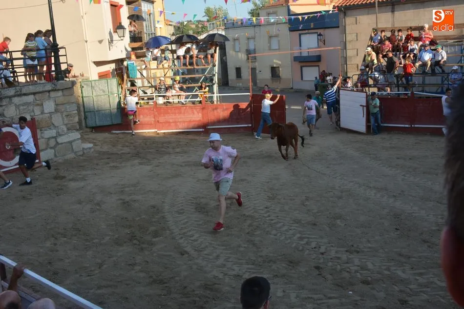 Foto 11 - Animada tarde taurina el d&iacute;a grande de las fiestas patronales de Sobradillo