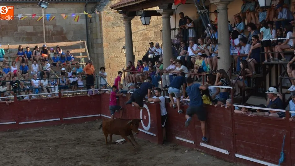 Foto 7 - Animada tarde taurina el d&iacute;a grande de las fiestas patronales de Sobradillo