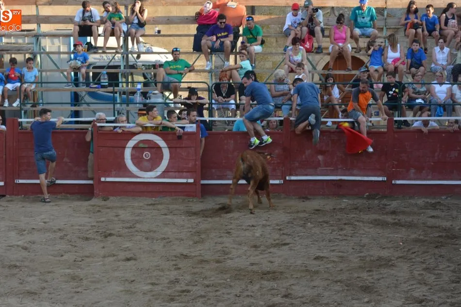 Foto 5 - Animada tarde taurina el d&iacute;a grande de las fiestas patronales de Sobradillo