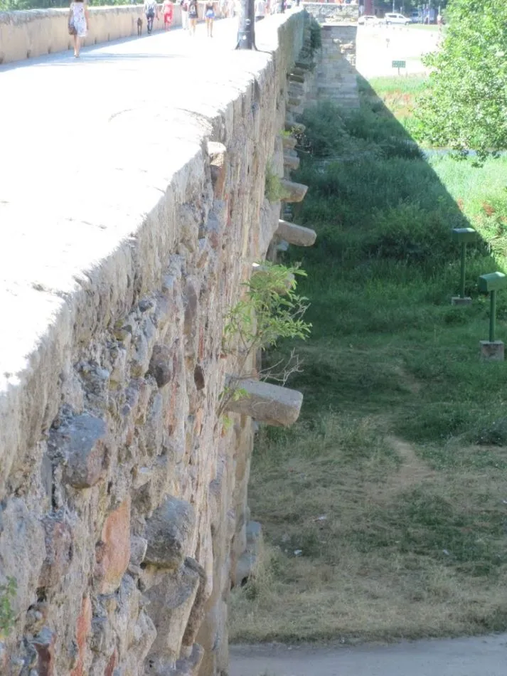 Foto 10 - Piden la limpieza de la vegetaci&oacute;n que crece sobre los monumentos salmantinos