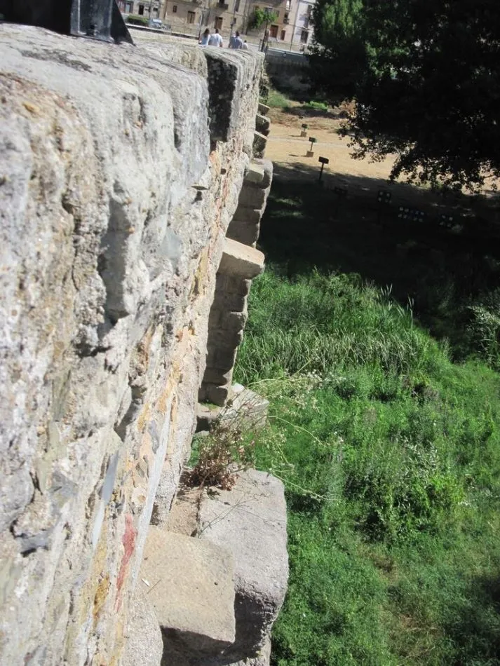 Foto 9 - Piden la limpieza de la vegetaci&oacute;n que crece sobre los monumentos salmantinos